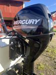 Mercury f30 mycket fint skick