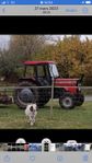 Massey Ferguson 360 