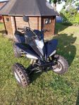 Bashan ATV 250CC -BADBOY ELITE SHOSHONITE VÄGREGISTRERAD