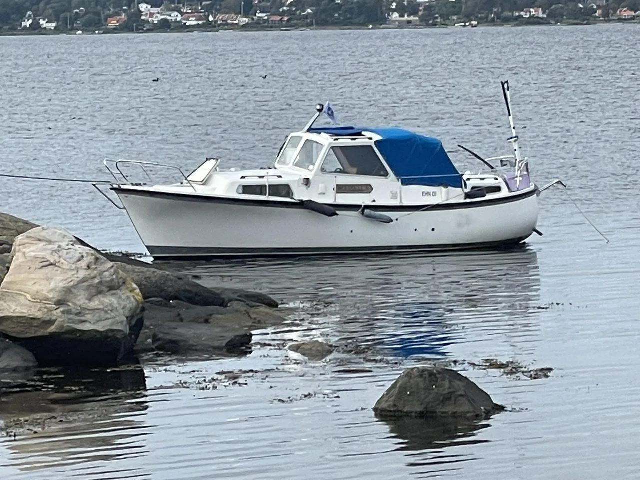 Winga 25 image