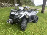 Kawasaki  Brute force 300