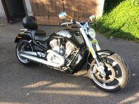 Harley Davidson V-Rod Muscle