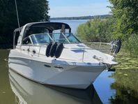 Sea Ray 290/320 Sundancer