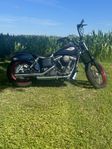 Harley Davidson street bob