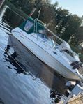 Rinker fiesta vee 265