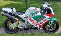 Honda VTR100R / RC51 / SP1 – Colin Edwards Rep