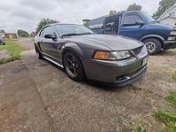 Ford Mustang SVT Cobra