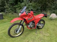 Honda Dominator 650