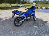 Suzuki dr650 RSE