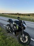 Kawasaki Z800 2016 HELSYSTEM - MAPPAD - NYSERVAD & BESIKTAD