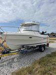 Quick Silver Pilothouse 530