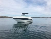 Bayliner Cuddy 802