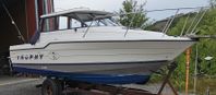 Bayliner Trophy 2359 Ny renoverad V8 5,7 l Mercruiser