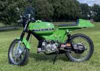 Kreidler Florett RS ”Green Mamba”