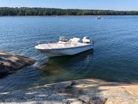 Boston Whaler Dauntless 18