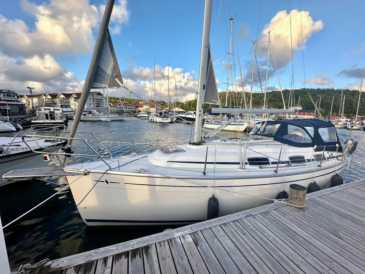 Bavaria 30 C, ny genua, plotter, mm image