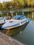 Sea Ray 200