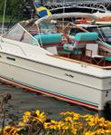 Sea Ray 300 Weekender