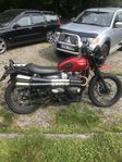 Triumph street scrambler 900