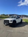 Ford F-150 SuperCrew 3.5 V6 Ecoboost 4x4 SelectShift