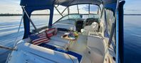 sea ray 260 sundancer