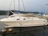 Sea Ray Sundancer 260 