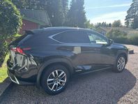 Lexus NX 300h AWD 2.5 AWD E-CVT Executive Euro 6