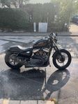 Harley Davidson XL1200N Nightster (Sportster)