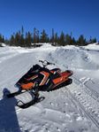 Polaris pro rmk 800 shorty