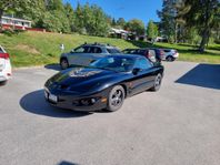 Pontiac Firebird 3.8 V6