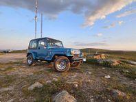 Jeep Wrangler 2,5L 4WD 1994