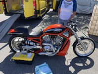 Harley-Davidson VRSXC Destroyer Factory Drag Bike 