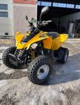 Can-Am DS 250