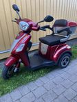 PromenadScooter-3100