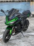 Kawasaki Ninja 1000sx 