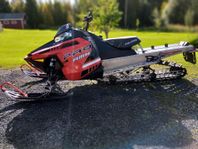 Polaris Pro RMK 800