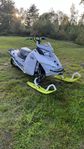 Ski-Doo Freeride 800 -14 146”