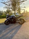 Honda Cbr 650F A2 