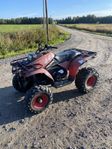 Polaris trailboss 250 4x4