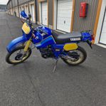 XT600 Z Tenere 1986 1vj