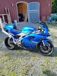 Triumph Daytona 955i