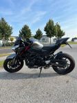 Z900 Performance 