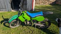 Kawasaki kdx 200