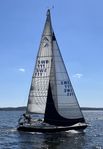 Hanse 331