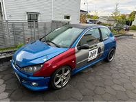 Peugeot 206 RC Trackday, Långlopp, Race, Racebil