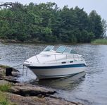 Sea ray sundancer 230