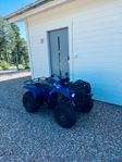 Yamaha Grizzly 125