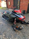 Ski Doo Summit SP 146” Shorty