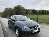 Seat Ibiza Nybesiktigad