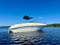 Sea Ray 215 Express Cruiser -98 v8 insprut 